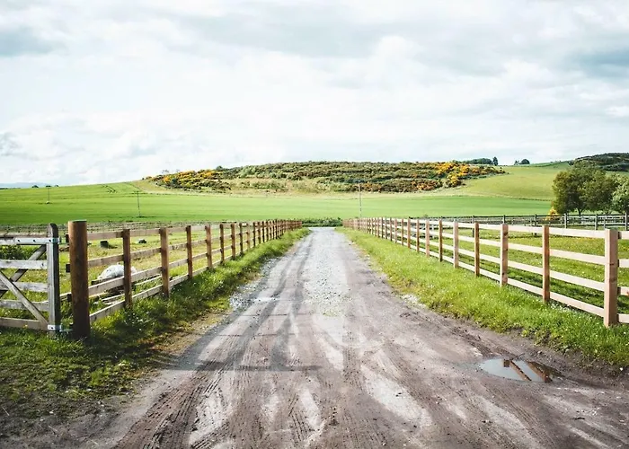 Drumlochy B&B